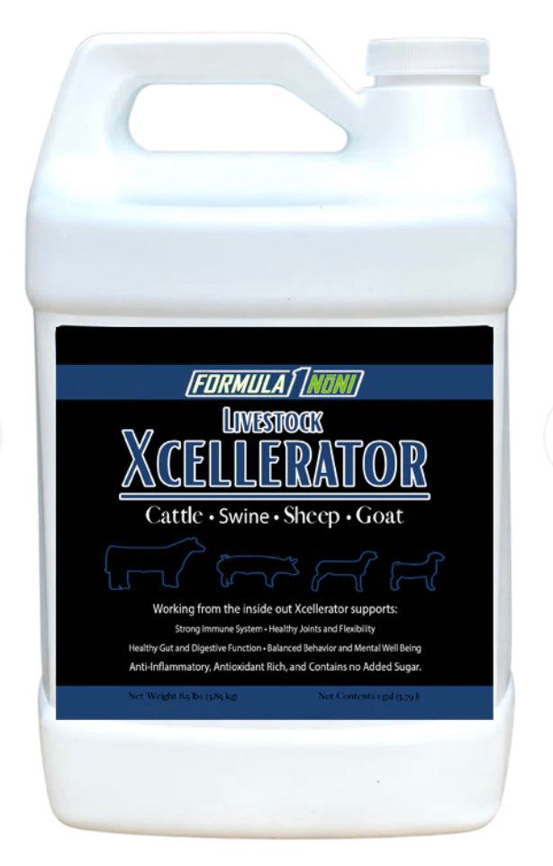 Xcellerator (ShowNoni) Gallon