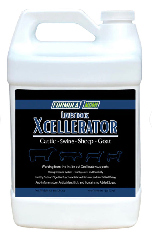 Xcellerator (ShowNoni) Gallon